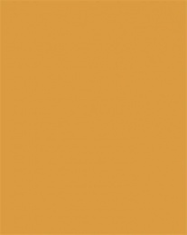 Dekoračný kartón, 2 stranný, 50x70 cm, 220 g, 10 listov, FOLIA, okrový